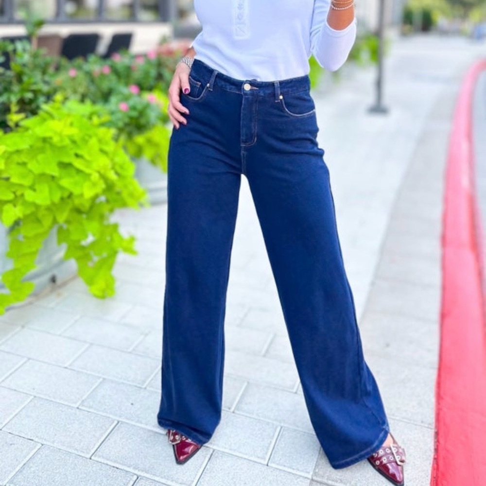 SSYS Roxie sweatpant jeans size 24